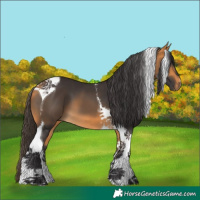 Horse Color:Buckskin Tobiano 