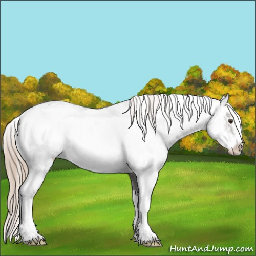 Horse Color:Liver Chestnut Sabino