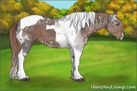 Horse Color:Liver Chestnut Ice Tobiano 