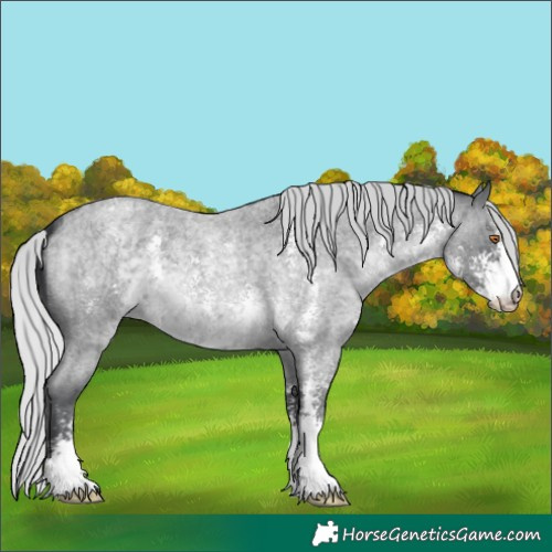 Horse Color:Silver Blue Chinchilla Roan Sabino 