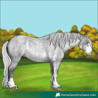 Horse Color:Silver Blue Chinchilla Roan Sabino 