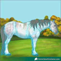 Horse Color:Thunderstruck Liver Red Dun Ice Tobiano Rabicano 