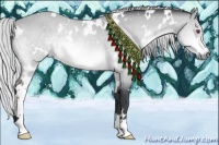 Horse Color:White Spotted Silver Bay Chinchilla 