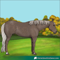 Horse Color:Silver Black 