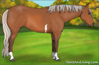 Horse Color:Silver Bay Tobiano 