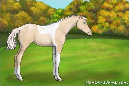 Horse Color:Silver Smoky Black Pearl Tobiano 