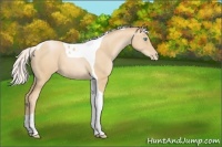 Horse Color:Silver Smoky Black Pearl Tobiano 