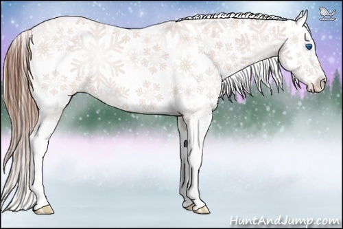 Horse Color:Chestnut Splash Snowflake Varnish
