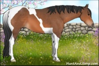 Horse Color:Bay Tobiano 