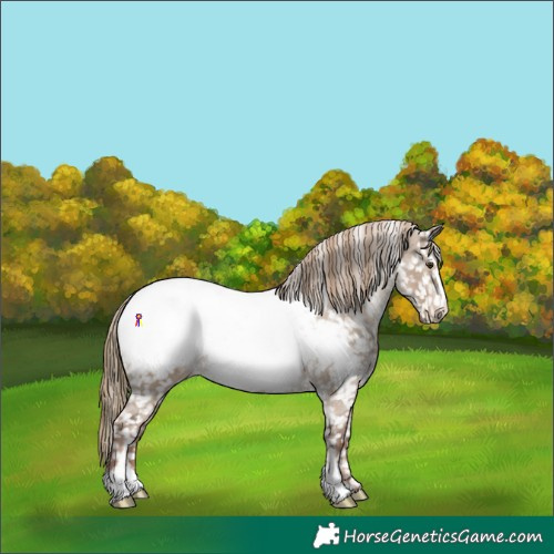 Horse Color:Liver Red Dun Sabino Snowcap 