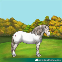 Horse Color:Liver Red Dun Sabino Snowcap 