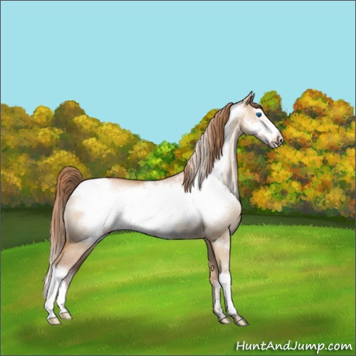 Horse Color:Brown Pearl Dun Frame Appaloosa Rabicano