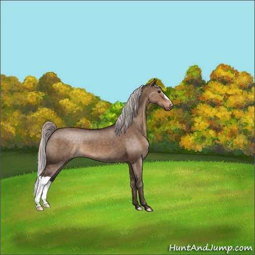 Horse Color:Silver Brown Dun Appaloosa