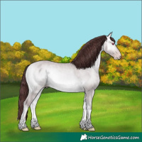 Horse Color:Platinum Chocolate Sable Cream Champagne Chinchilla Onyx Rabicano 