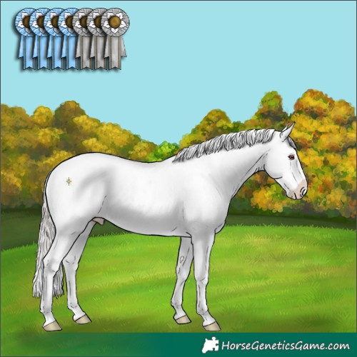 Horse Color:White Spotted Chocolate Brown Chinchilla Onyx Frame Varnish Rabicano