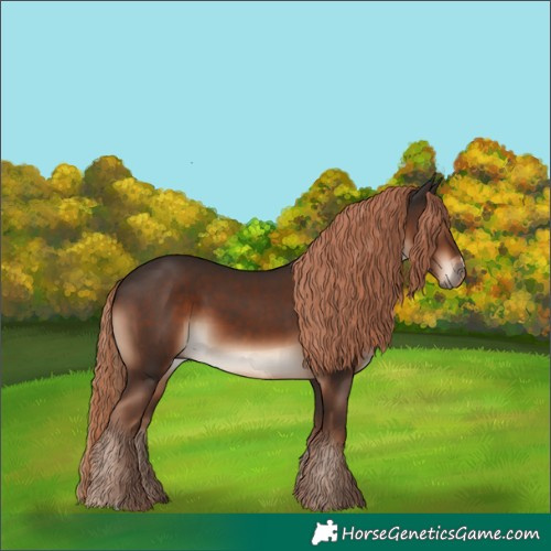 Horse Color:Liver Chestnut 