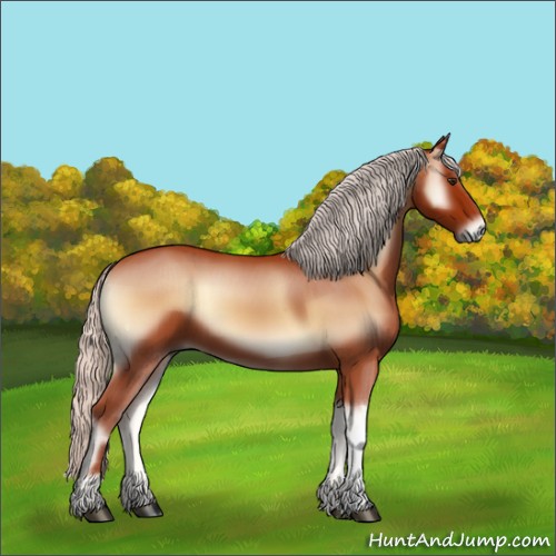 Horse Color:Silver Bay Onyx 