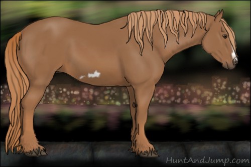 Horse Color:Chestnut Frame