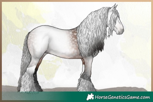 Horse Color:Gray Bay Tobiano Rabicano