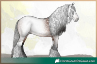 Horse Color:Gray Bay Tobiano Rabicano 