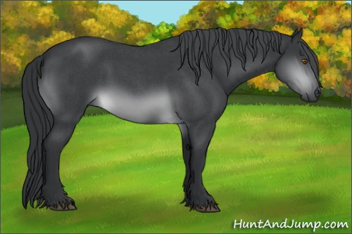 Horse Color:Brown Chinchilla Roan 