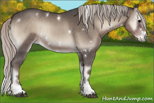 Horse Color:White Spotted Silver Blue Onyx Sabino Splash Rabicano