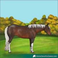 Horse Color:White Spotted Liver Chestnut Mushroom Tobiano Rabicano