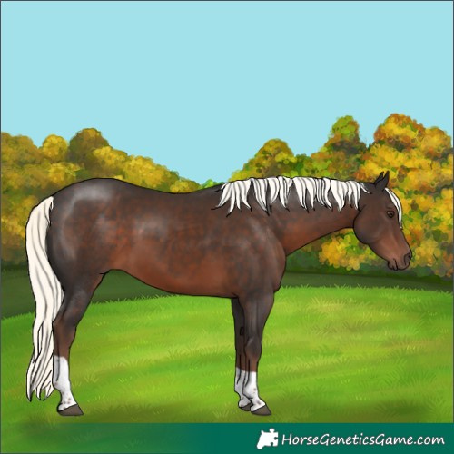 Horse Color:White Spotted Liver Chestnut Mushroom Tobiano 