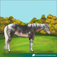 Horse Color:White Spotted Liver Chestnut Mushroom Tobiano 