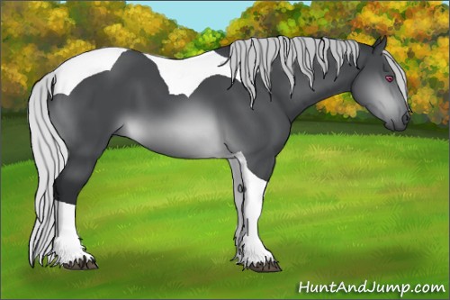 Horse Color:Silver Brown Chinchilla Tobiano