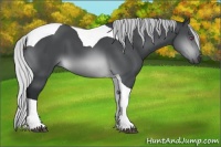 Horse Color:Silver Brown Chinchilla Tobiano 