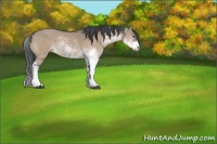 Horse Color:Brown Dun Sabino 