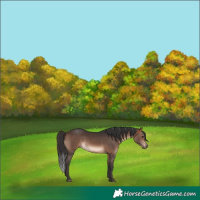 Horse Color:Brown 