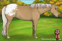 Horse Color:Silver Smoky Black Appaloosa 