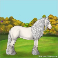 Horse Color:Silver Perlino Roan Dun Tobiano