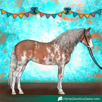 Horse Color:Silver Bay Sabino 