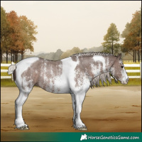 Horse Color:White Spotted Silver Black Tobiano Rabicano