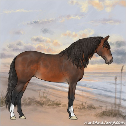 Horse Color:Brown 