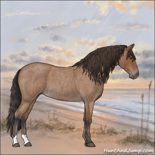 Horse Color:Bay Roan 