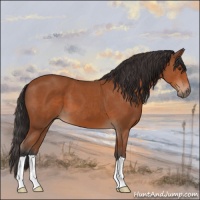 Horse Color:Brown 