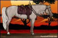 Horse Color:Silver Grullo Roan 