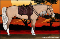 Horse Color:Silver Bay Roan Dun Splash