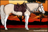 Horse Color:Silver Bay Roan Dun Splash 