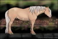 Horse Color:Silver Amber Champagne Frame 