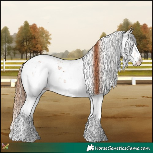 Horse Color:Chestnut Sabino