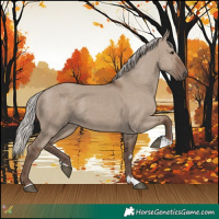 Horse Color:Silver Grullo 