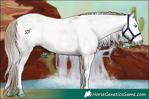 Horse Color:Gray Perlino Dun Splash Tobiano 