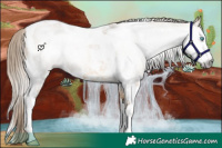 Horse Color:Gray Perlino Dun Splash Tobiano