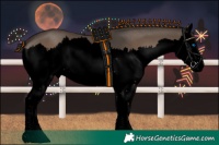 Horse Color:Void Liver Red Dun Splash