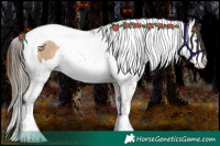 Horse Color:Sable Cream Champagne Splash Tobiano 